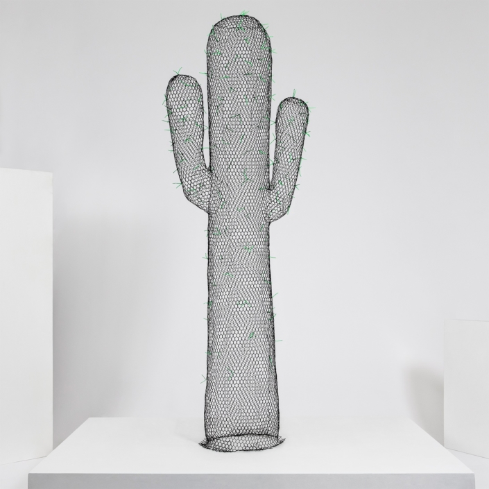 benedetta-mori-ubaldini_black-and-green-cactus_0