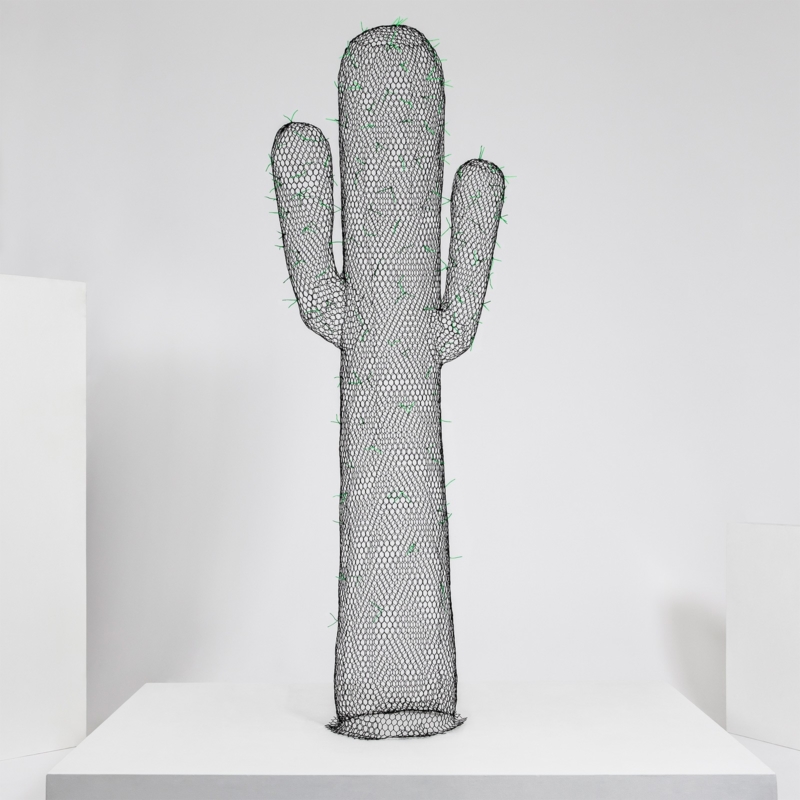 Benedetta Mori Ubaldini - Tall black cactus