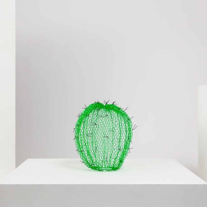 benedetta mori ubaldini_small-green-cactus-with-black-plugs_0