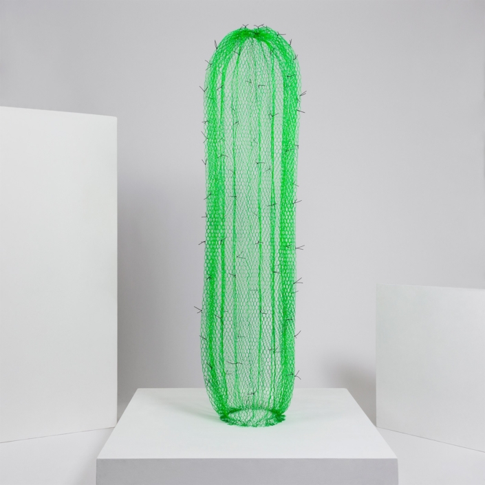 benedetta-mori-ubaldini_tall-green-cactus-with-black-plugs_0